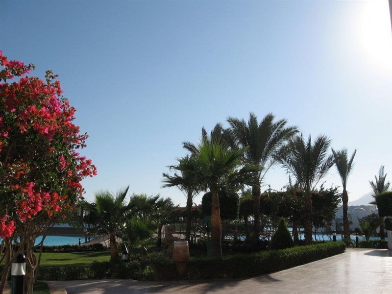 Resort Safir 5*
